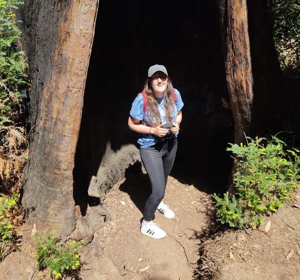 Me with a big tree on Big Sur.